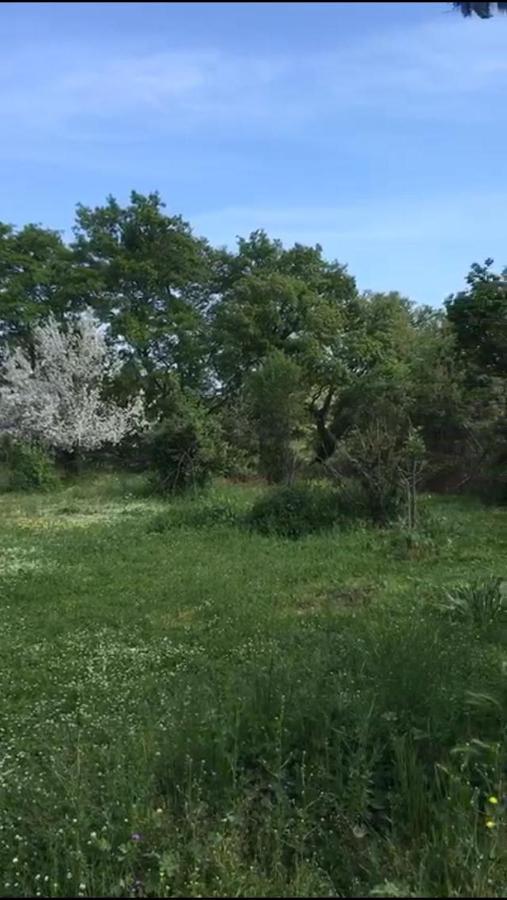 Il Casale Del Popolo Villa Barbarano Romano Kültér fotó