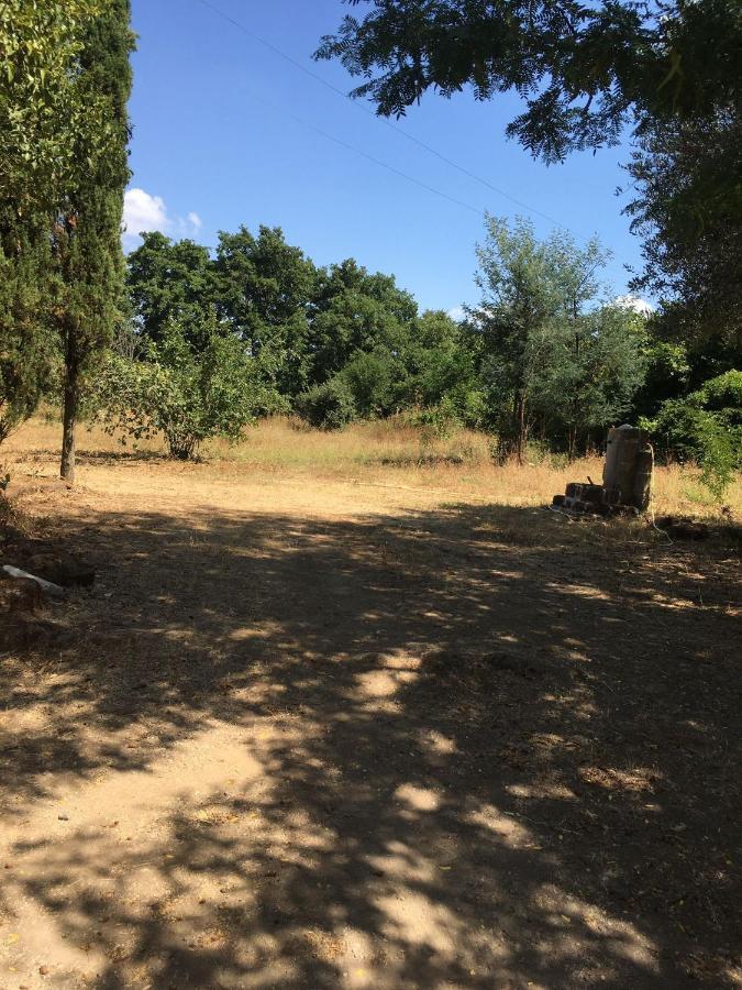 Il Casale Del Popolo Villa Barbarano Romano Kültér fotó